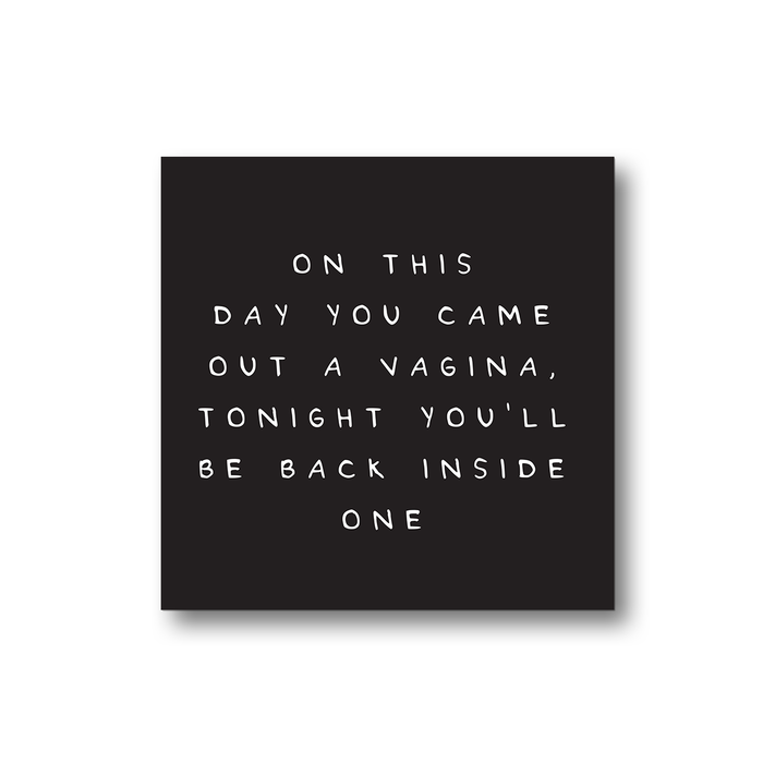 On This Day You Came Out A Vagina Tonight You'll Be Back Inside One Magnet | Funny Fridge Magnet, Birthday Gift For Men, Rude Birthday Magnet For Him