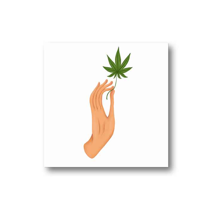 Hand Holding Weed Leaf Fridge Magnet | Hand Held Cannabis Leaf Illustration, Hand Illustrated Fine Art Marijuana, Stoner, Ganja, Hash, Pot, 420