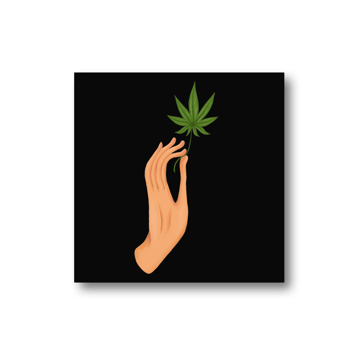 Hand Holding Weed Leaf Black Fridge Magnet | Hand Held Cannabis Leaf Illustration, Hand Illustrated Fine Art Marijuana Leaf, Stoner, Ganja, Hash, Pot, 420