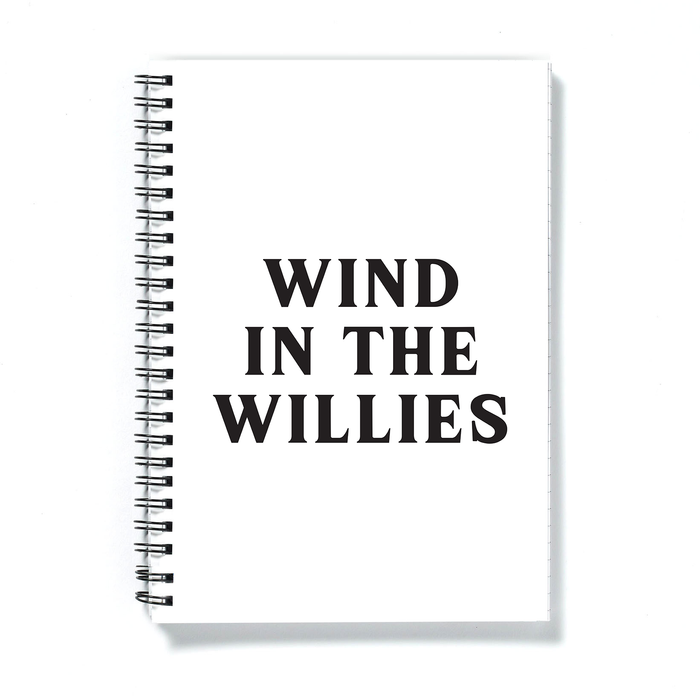Wind In The Willies A5 Notebook | Funny Notebook, Funny Literary Gifts, Funny Literature Gifts, Wind In The Willows Gifts, Journal