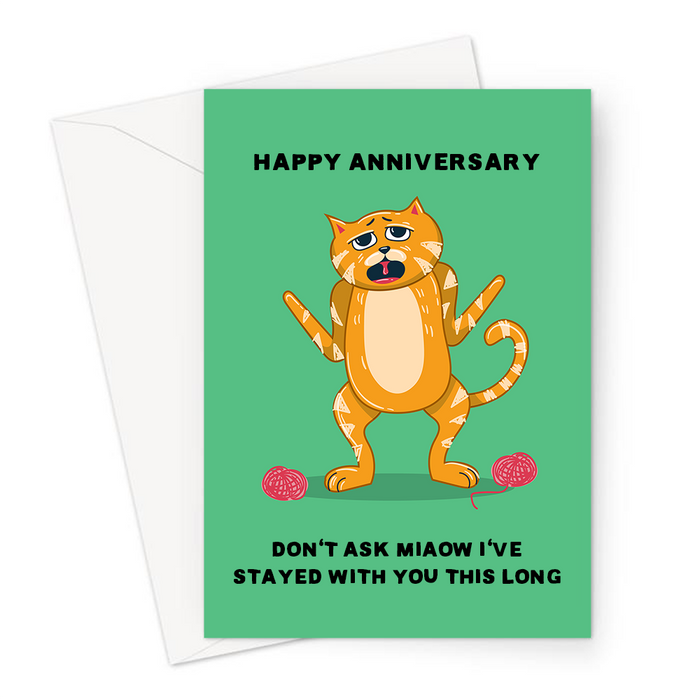 Happy Anniversary Don't Ask Miaow I've Stayed With You This Long Greeting Card | Cat Pun Anniversary Card For Him, For Her, Confused Looking Cat