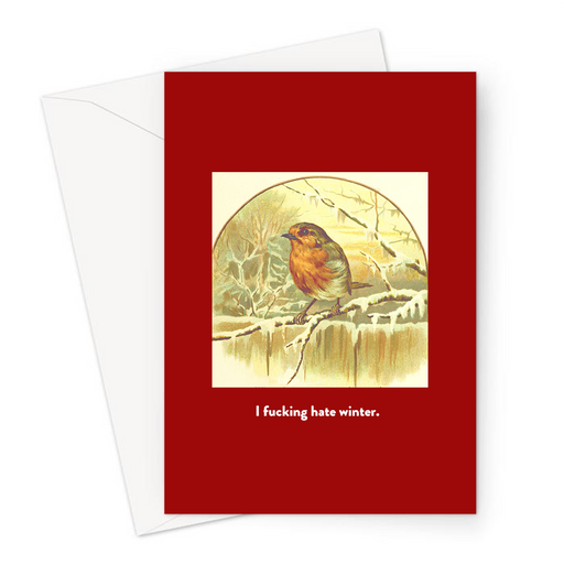 I Fucking Hate Winter. Greeting Card | Funny Vintage Joke Christmas Card, Robin On Icy Tree Branch, Cold, Winter, Snow, Robin Red Breast