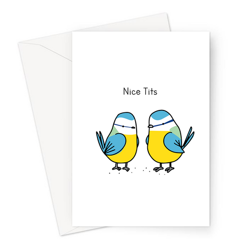 Nice Tits Greeting Card | Funny Pun Valentines Card For Her, Love, New Boobs, Nice Breasts, Blue Tits Doodle